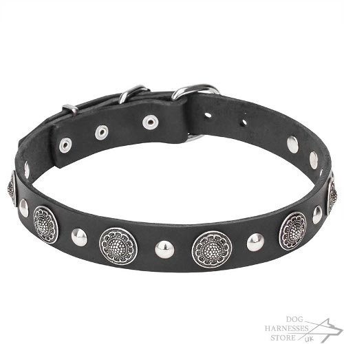 Delightfully Decorated Leather Dog Collar for Charismatic Canine