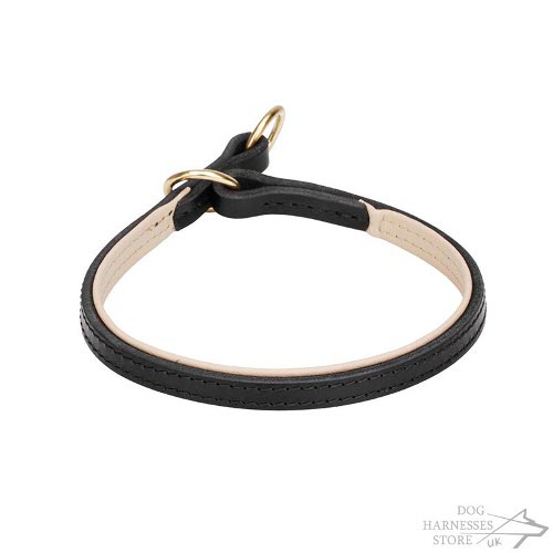 Leather Choke Collar for Dog Training, Soft Nappa Padded