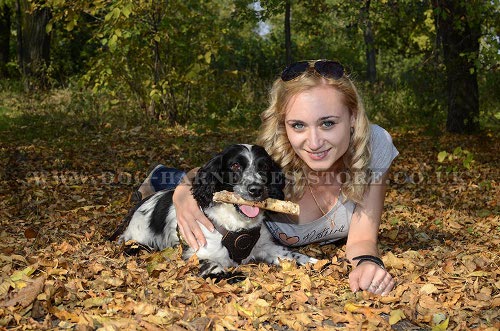 Spaniel Harness for Freedom of Movements, Soft Natural Leather