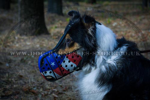Collie Muzzle USA Patriotic Style for Comfy Walking and Training