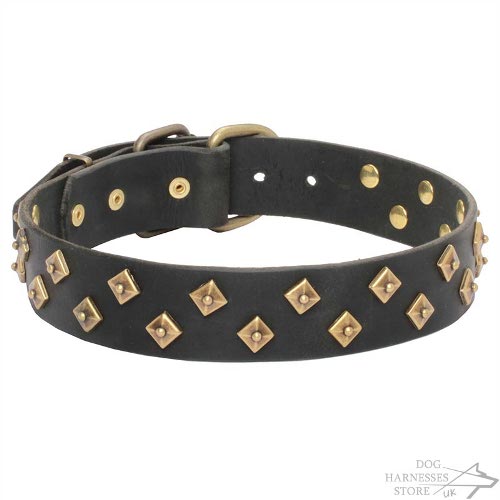 Couture Dog Collar with Brass Pyramids, Fashionable Accessory
