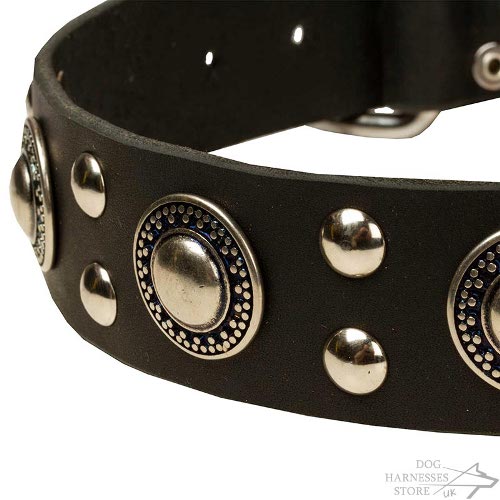 Decorated Dog Collar Leather with Silver-Like Circles and Studs