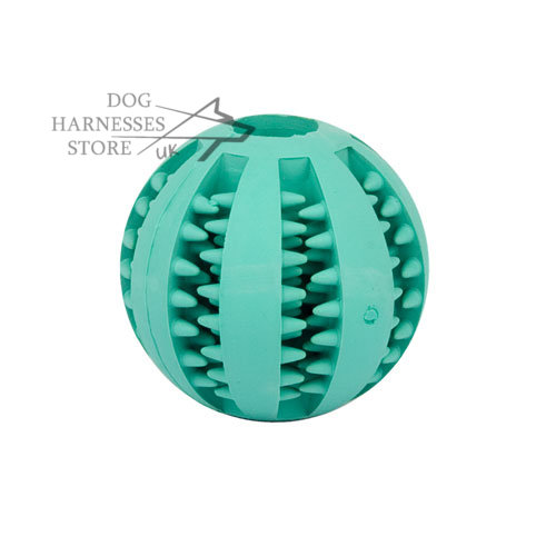 Dental Dog Ball with Mint Flavor for Oral Care and Chewing