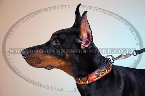 Designer Dog Collar with Flame Painting for Doberman