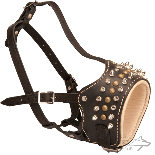 Royal Spiked Leather Dog Muzzle