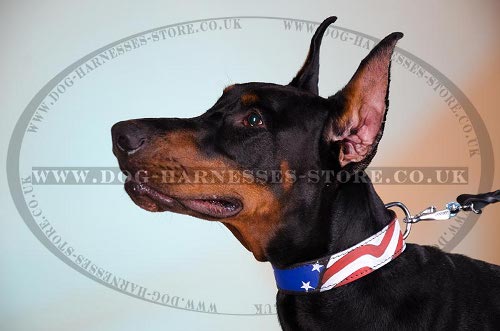 Doberman Pinscher Leather Collar with Stars and Stripes Ornament