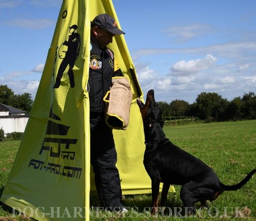 Dog Bite Protection Sleeve with Jute Cover for IGP