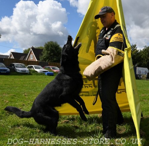 Dog Bite Sleeve with Jute Cover for Advanced IGP Training