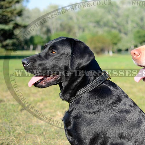 Dog Choke Collar of Double-ply Leather with Braided Adornment