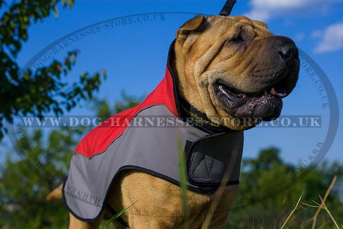 Dog Coat for Shar-Pei Warm and Comfy Walking in Cold Weather