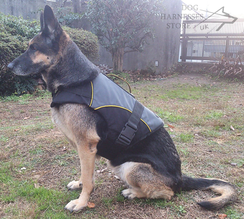 German Shepherd Dog Coat for Warming & Rehabilitation