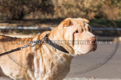 Dog Collar for Shar-Pei of Nylon with Quick-Release Buckle