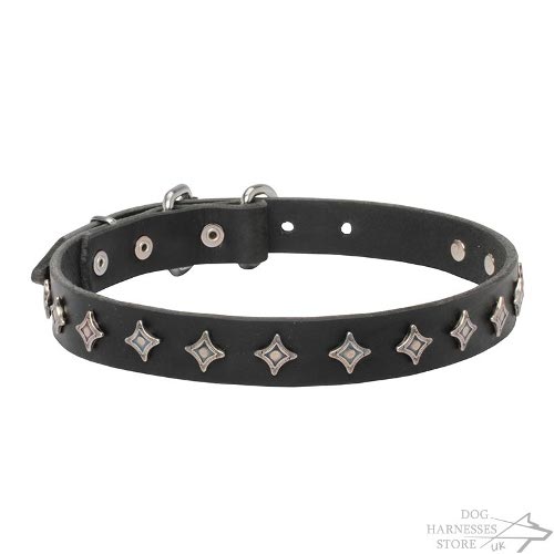 "Northern Stars" Narrow Width Dog Collar of Genuine Leather