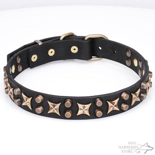 "Sky of Stars" Leather Dog Collar with Bronze-Like Stars & Cones