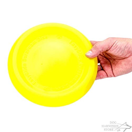 Dog Frisbee Disk for Active Games and Training Even in Water!