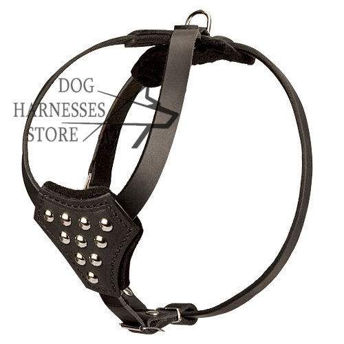 Studded Dog Harness for Small Dog & Puppy - Click Image to Close