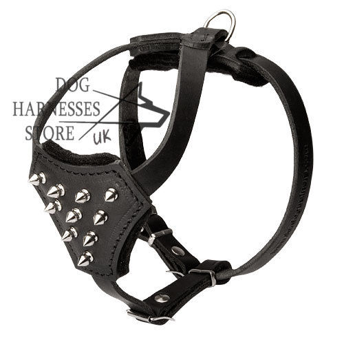 Designer Dog Harness Spiked and Padded for Small Dogs, Puppies