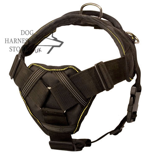 Nylon Dog Harness for Dog Sports UK, Chest Plate for Protection