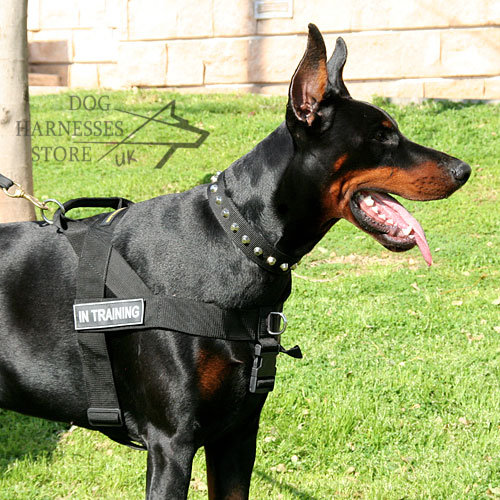 Easy Walk Harness for Doberman Training, Made of Nylon