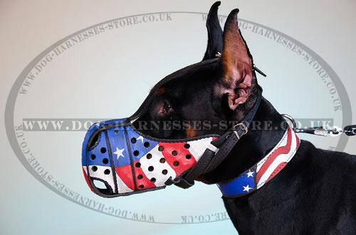 Dog Muzzle for Doberman Pinscher with Stars and Stripes Design