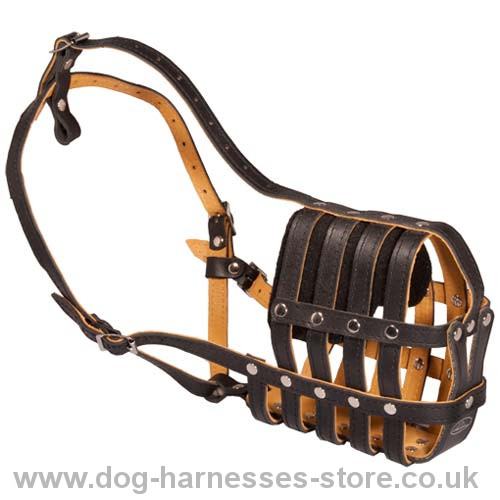 Leather Dog Muzzles UK