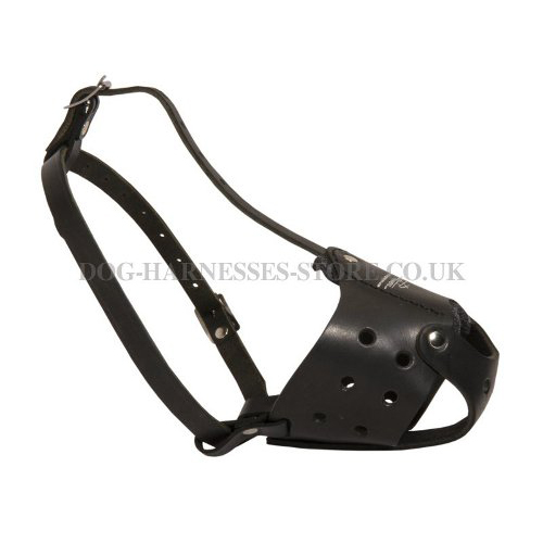 Light Weight Everyday Leather Dog Muzzle, UK - Click Image to Close