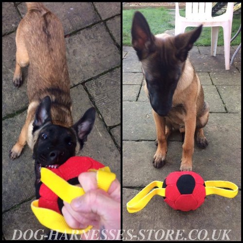 Dog Toy for Belgian Malinois Bite Training, Soccer Ball Bite Tug