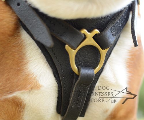 Bestseller! Dog Tracking Harness for English Bulldog