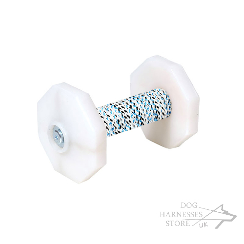 Dog Training Dumbbell with White Plastic Weight Plates, 1.4 lbs