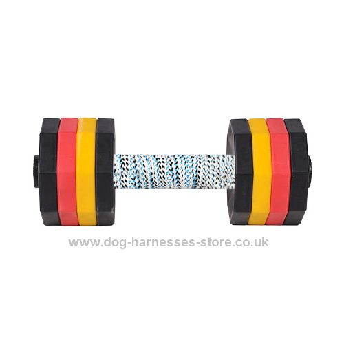 Dog Training Dumbbell of 2 kg, Multicolour Weight Plates - Click Image to Close