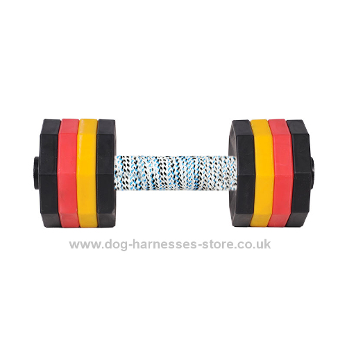 Dog Training Dumbbell of 2 kg, Multicolour Weight Plates