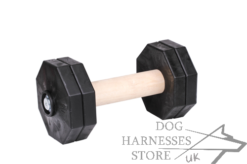 Dog Training Dumbbell of ① kg for IGP Training