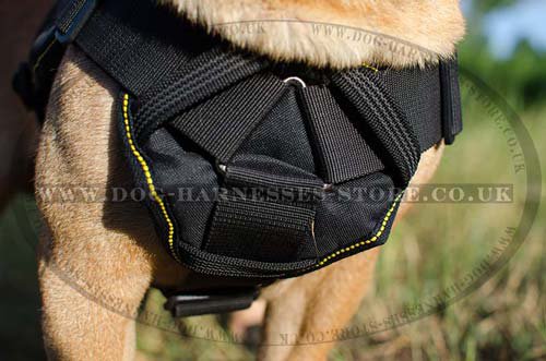 Bestseller! Dog Sport Harness for Shar Pei of Nylon