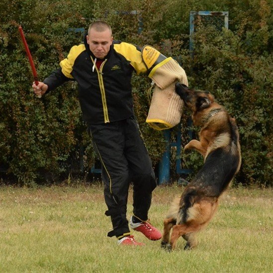 Secure Dog Training Protective Suit from Dirt and Scratches