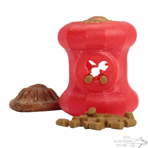 "Treat and Play" Dog Chewing Toy for Medium Breeds