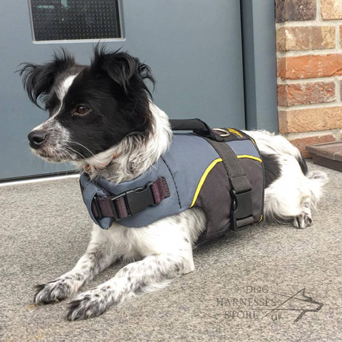 Dog Vest to Warm Your Cross Breed Dog - Click Image to Close
