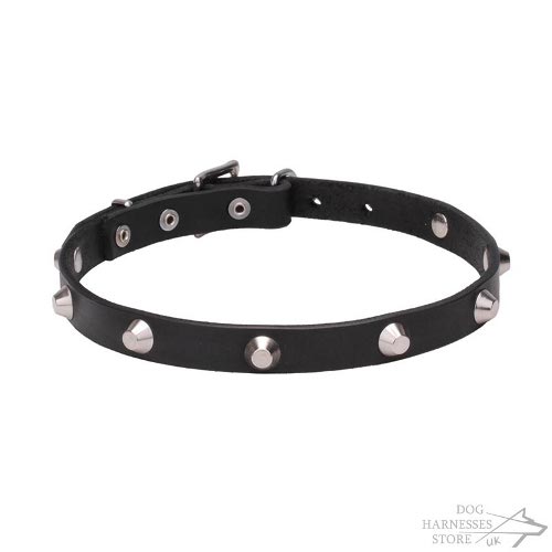 Beautiful and Elegant Leather Dog Collar with Decorative Cones