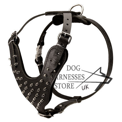 Best Spiked Leather Dog Harness UK, Work of Designers