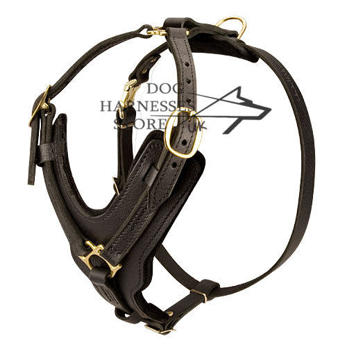 Padded Leather Dog Harness for Large Dogs, Handmade Luxury - Click Image to Close