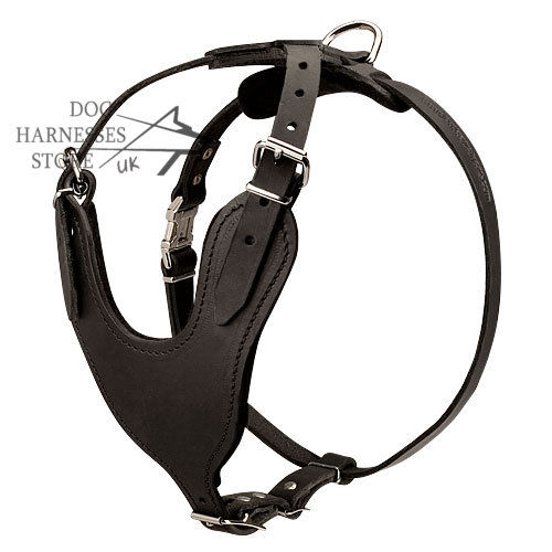 Padded Dog Harness UK Made of Premium Quality Genuine Leather