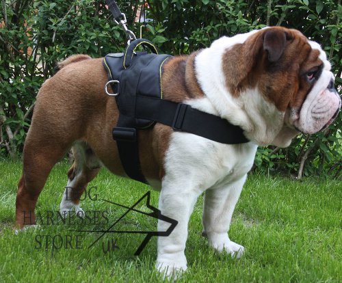 Bestseller! Old English Bulldog Harness UK Nylon Multifunctional