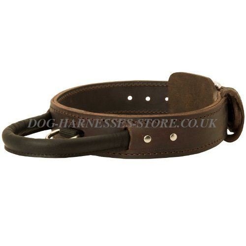 English Mastiff Leather Collar Double Thick with Control Handle