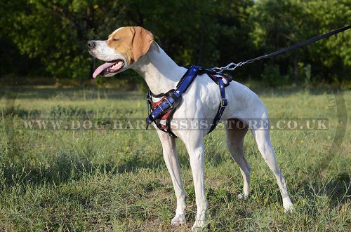 Handmade Dog Harness with USA Flag Drawing for English Pointer