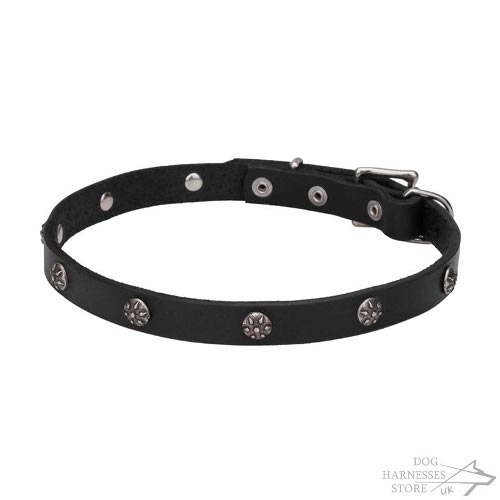 Flowery Studded Thin Leather Dog Collar - New Trendy Accessory