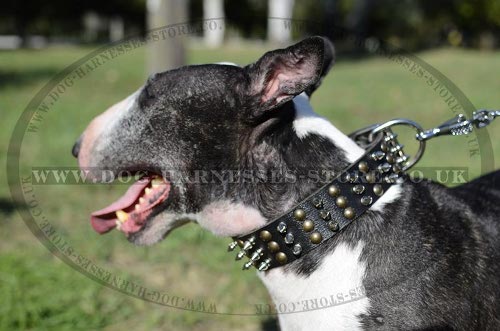 Fashion Leather Dog Collar for Bull Terrier, Spiked and Studded