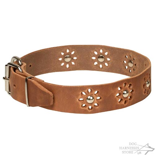 Floral Leather Dog Collar Punched Flowers - "Spring Madness" - Click Image to Close