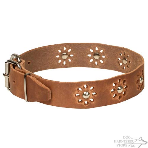 Floral Leather Dog Collar Punched Flowers - "Spring Madness"