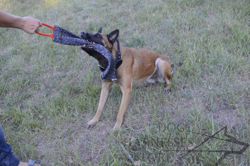 French Linen Bite Rag for German Shepherd and Belgian Malinois - Click Image to Close