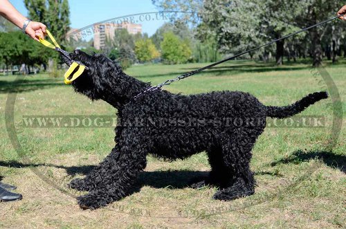 French Linen Bite Tug with Handles for Black Russian Terrier