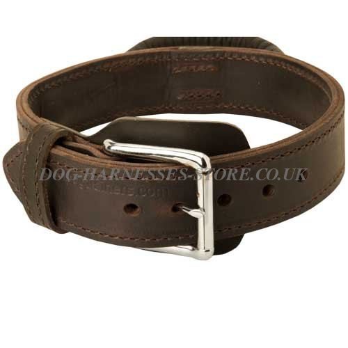 Bestseller! German Shepherd Agitation Collar Leather with Handle